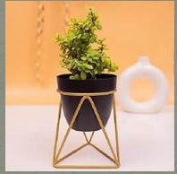Modern Triangular Metal Planter with Gold Geometric Stand (L-12cm x W-12cm x H-18cm)