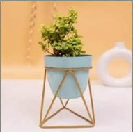 Modern Triangular Metal Planter with Gold Geometric Stand (L-12cm x W-12cm x H-18cm)