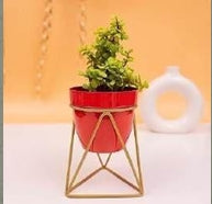 Modern Triangular Metal Planter with Gold Geometric Stand (L-12cm x W-12cm x H-18cm)