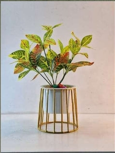 Small Indoor Planter on Elevated Gold Metal Stand