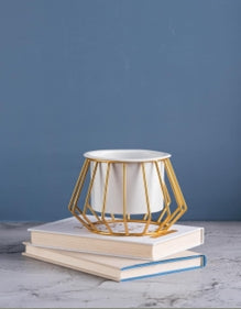 Small Indoor Planter on Elevated Gold Metal Stand