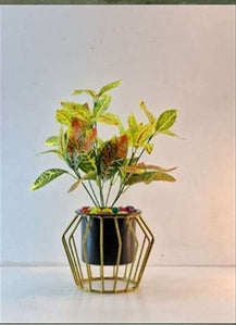 Small Indoor Planter on Elevated Gold Metal Stand