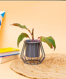 Small Indoor Planter on Elevated Gold Metal Stand